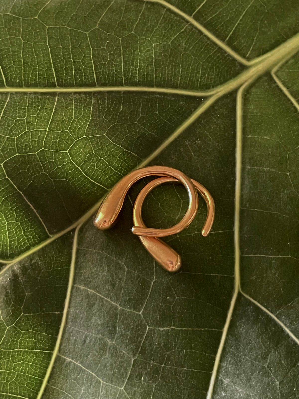 ANILLO ATLÁNTICO