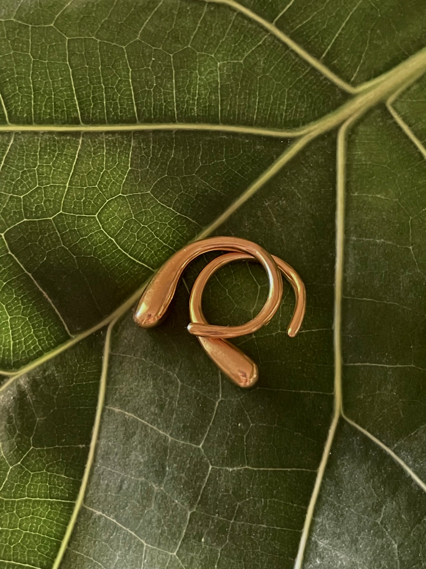 ANILLO ATLÁNTICO